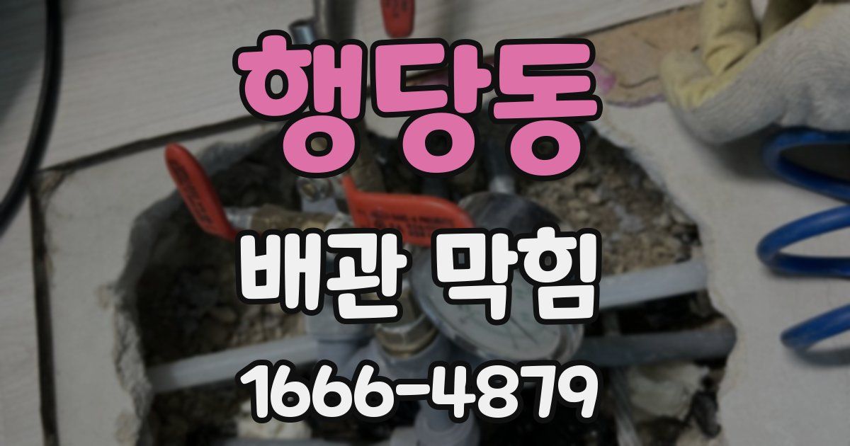 행당동 배관 막힘