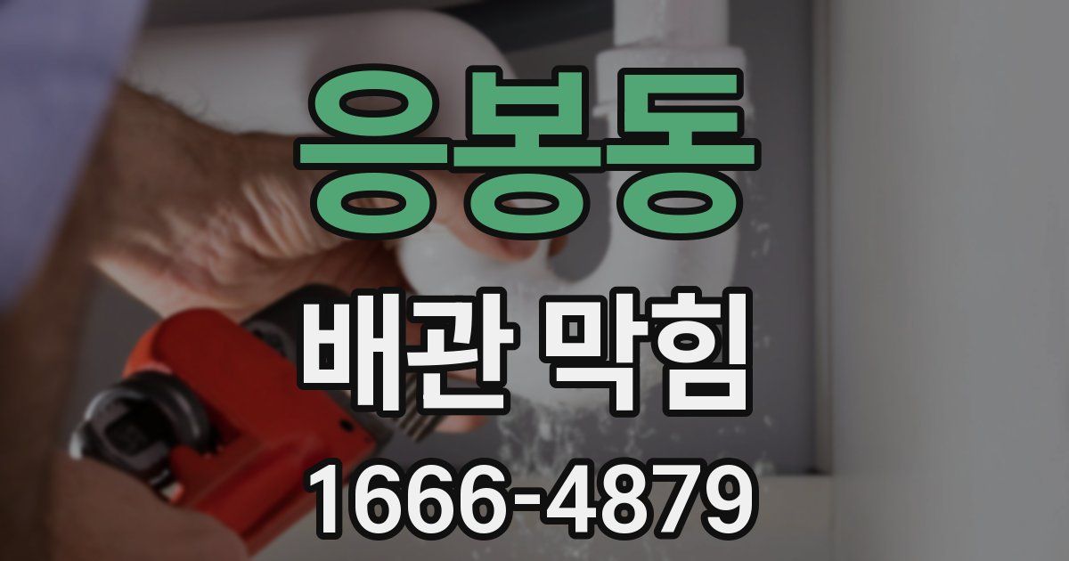 응봉동 배관 막힘