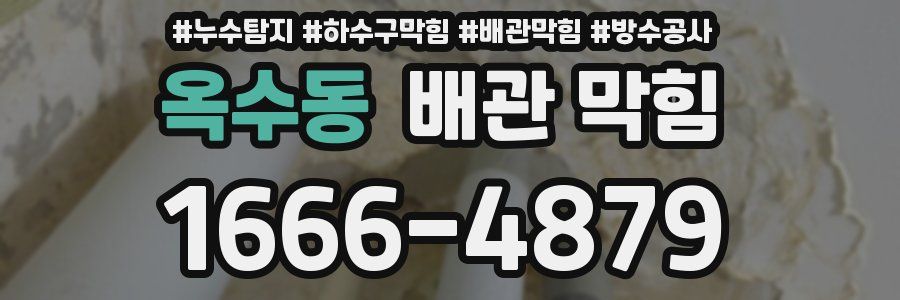 옥수동 배관 막힘