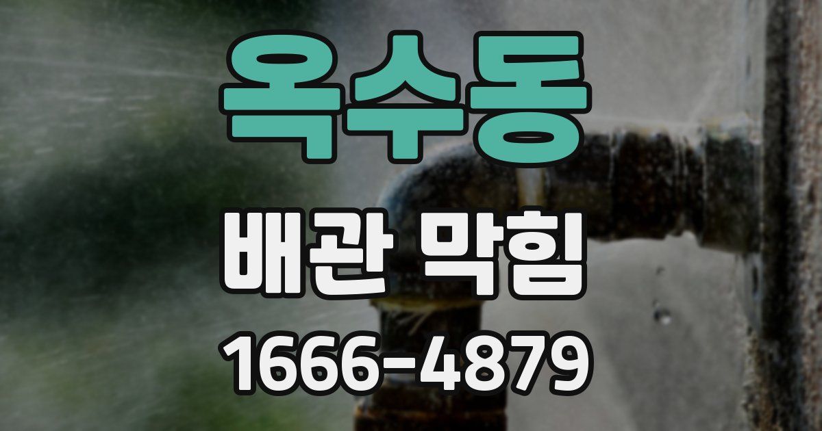 옥수동 배관 막힘