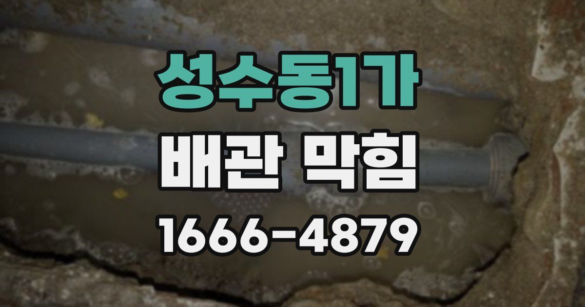 성수동1가 배관 막힘