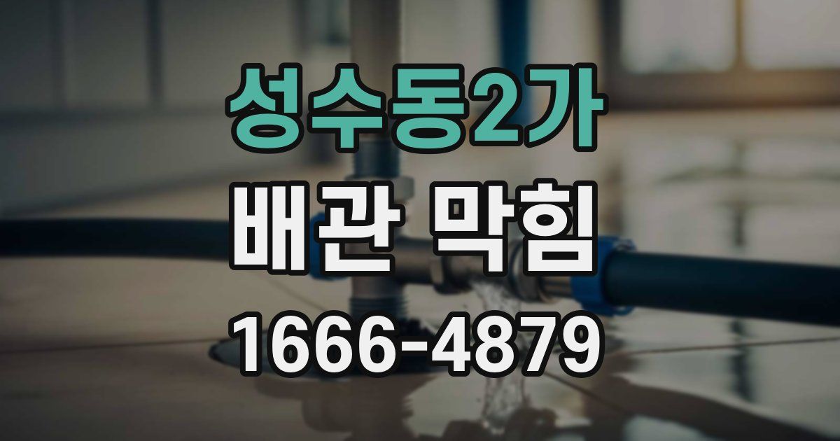 성수동2가 배관 막힘