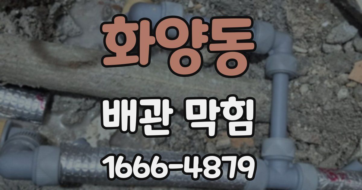 화양동 배관 막힘