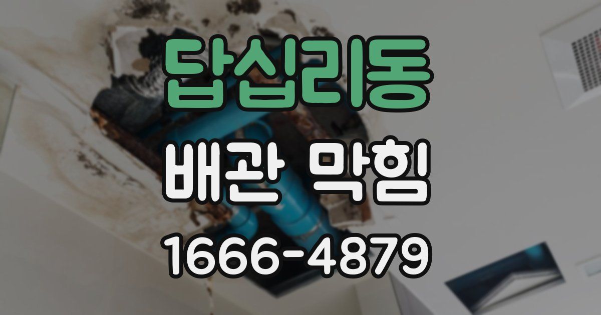 답십리동 배관 막힘