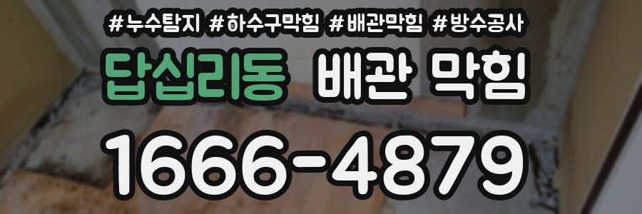 답십리동 배관 막힘