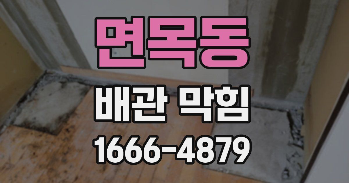 면목동 배관 막힘