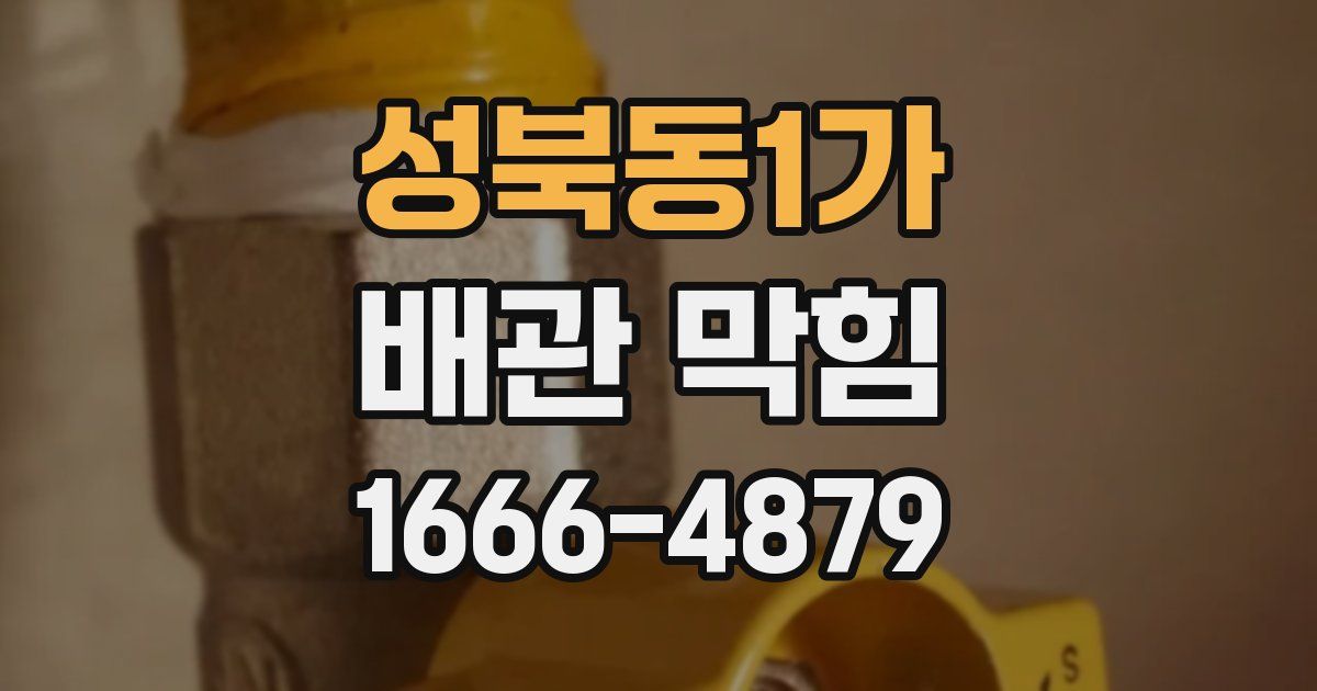 성북동1가 배관 막힘
