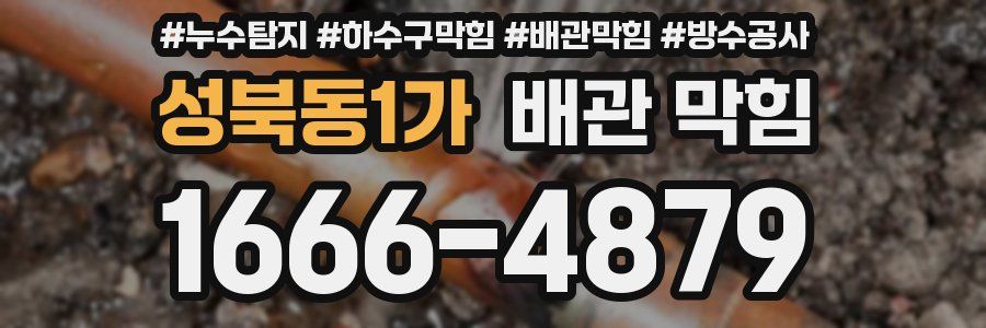 성북동1가 배관 막힘