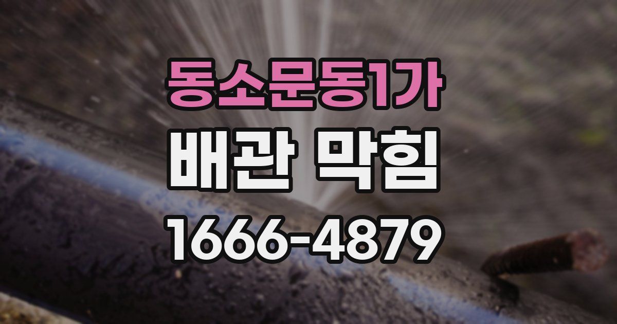 동소문동1가 배관 막힘