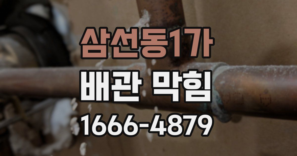 삼선동1가 배관 막힘