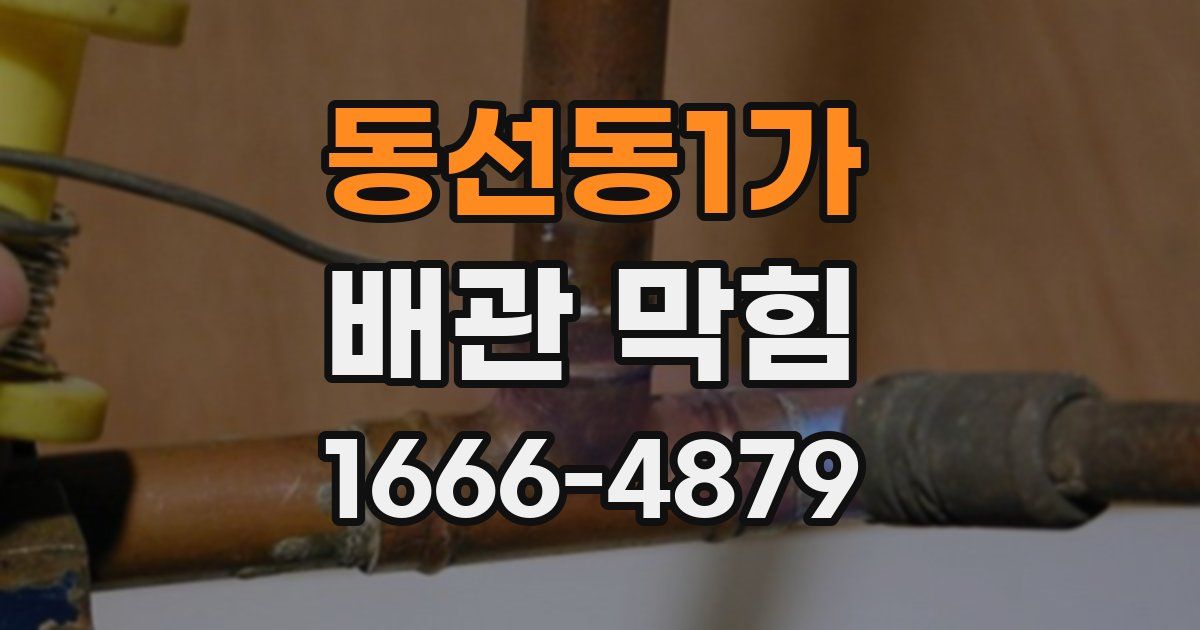 동선동1가 배관 막힘