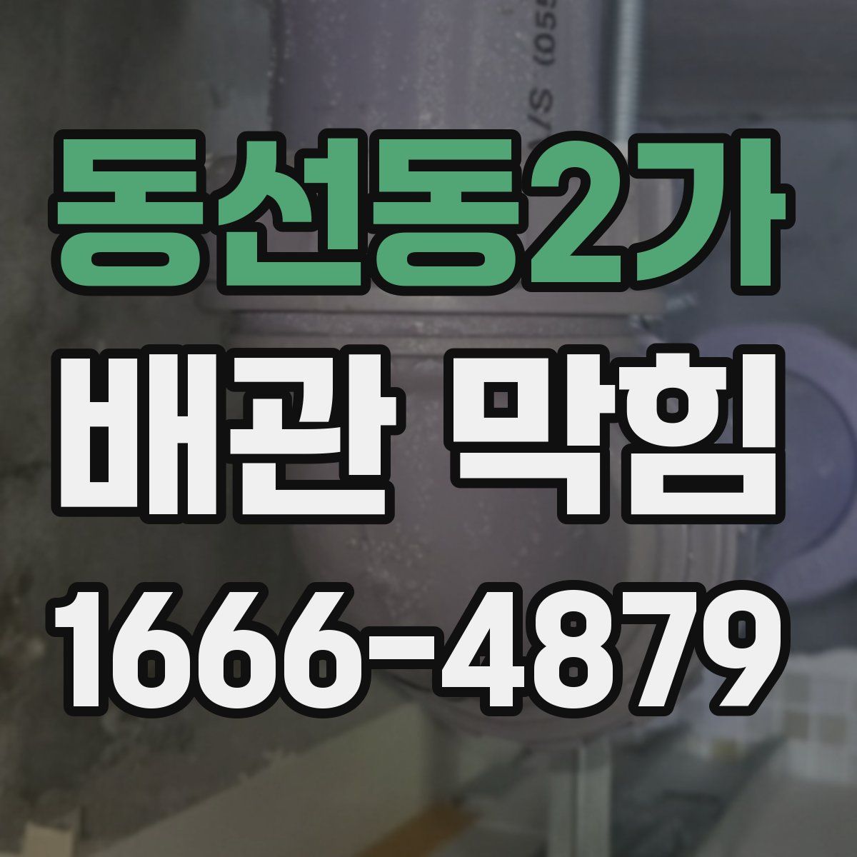 동선동2가 배관 막힘