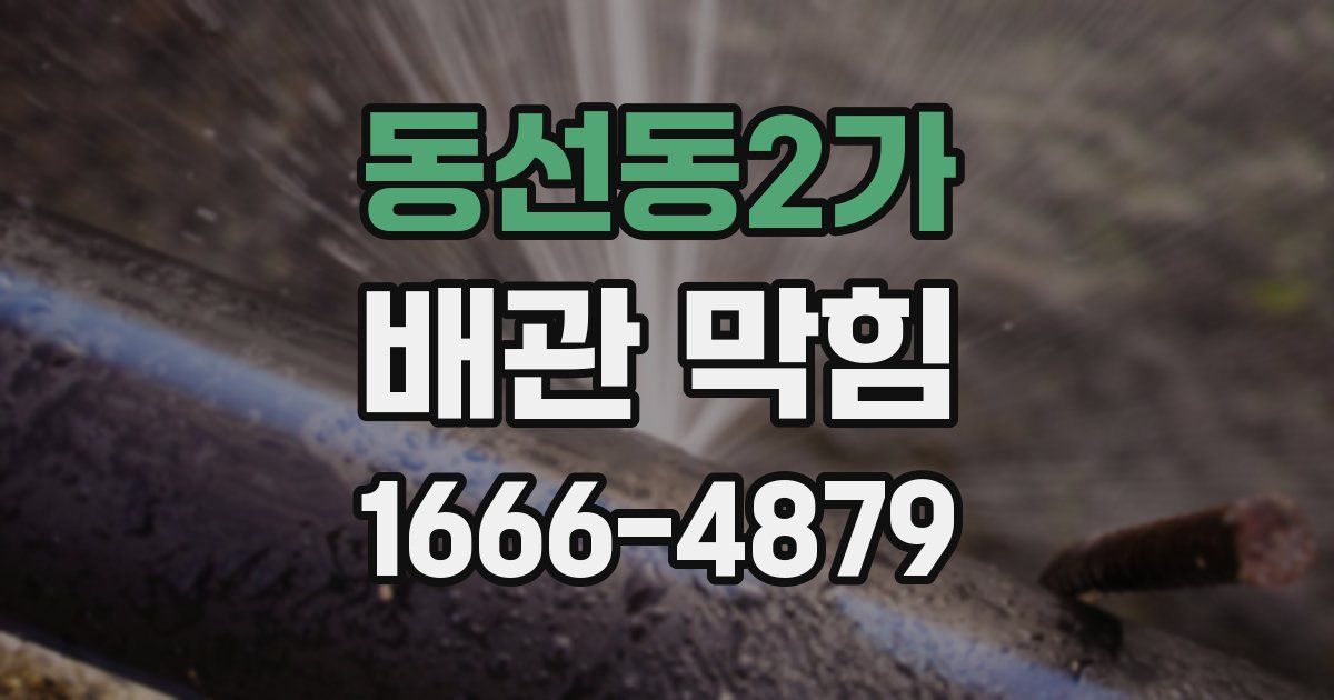 동선동2가 배관 막힘