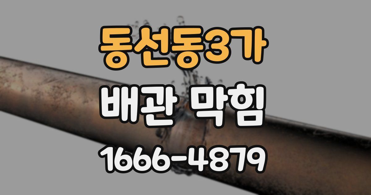 동선동3가 배관 막힘