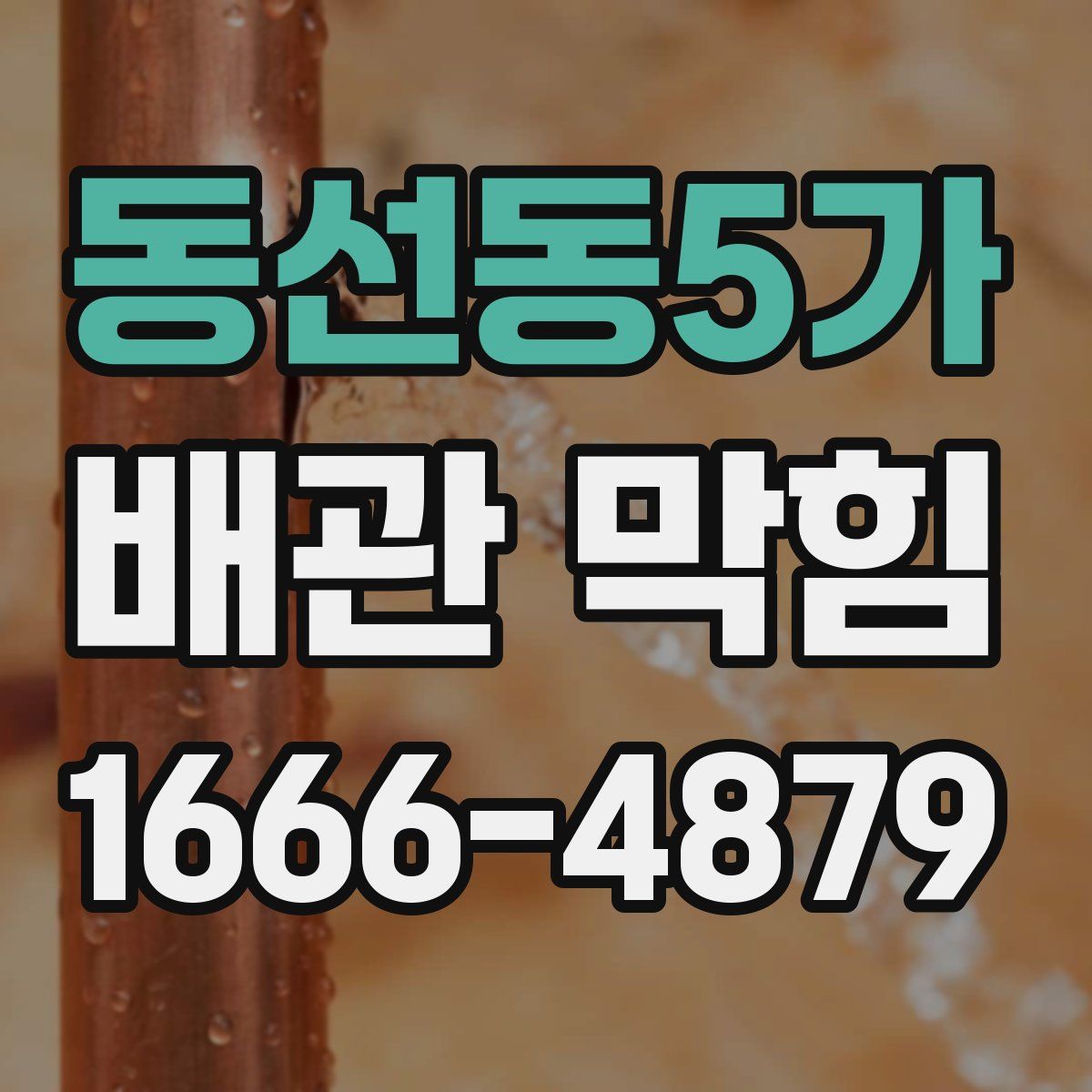 동선동5가 배관 막힘