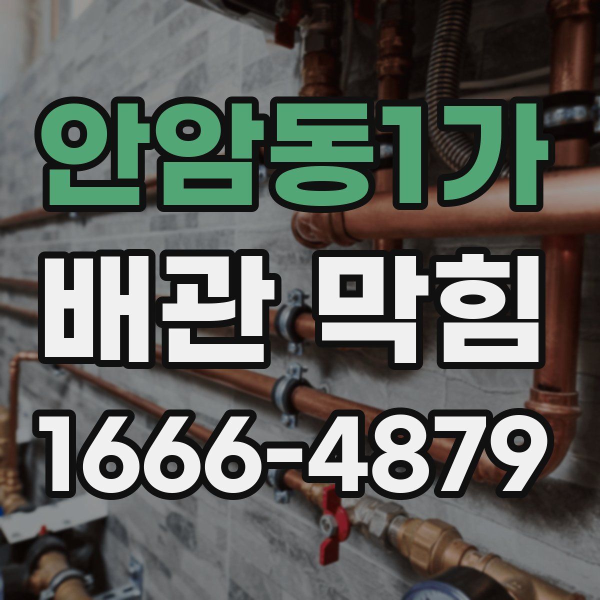 안암동1가 배관 막힘