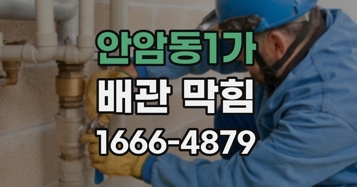 안암동1가 배관 막힘