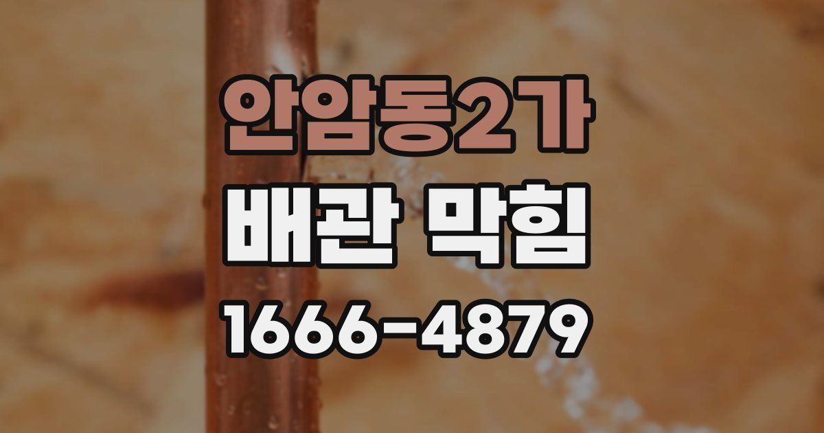 안암동2가 배관 막힘