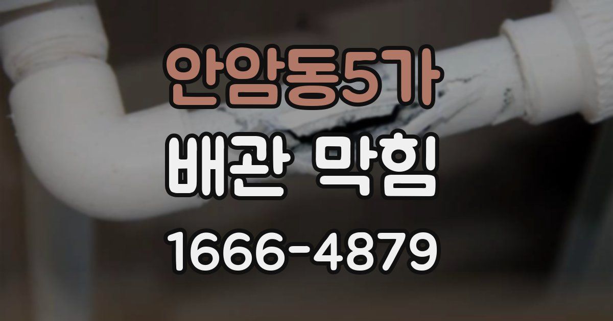 안암동5가 배관 막힘