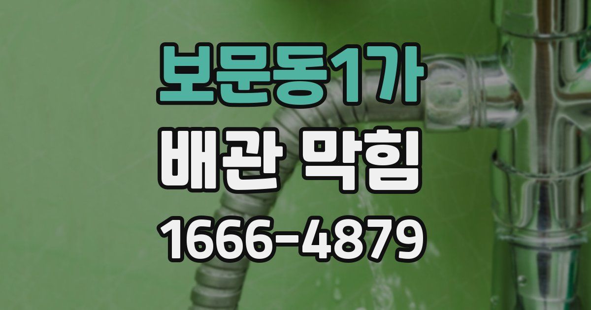 보문동1가 배관 막힘