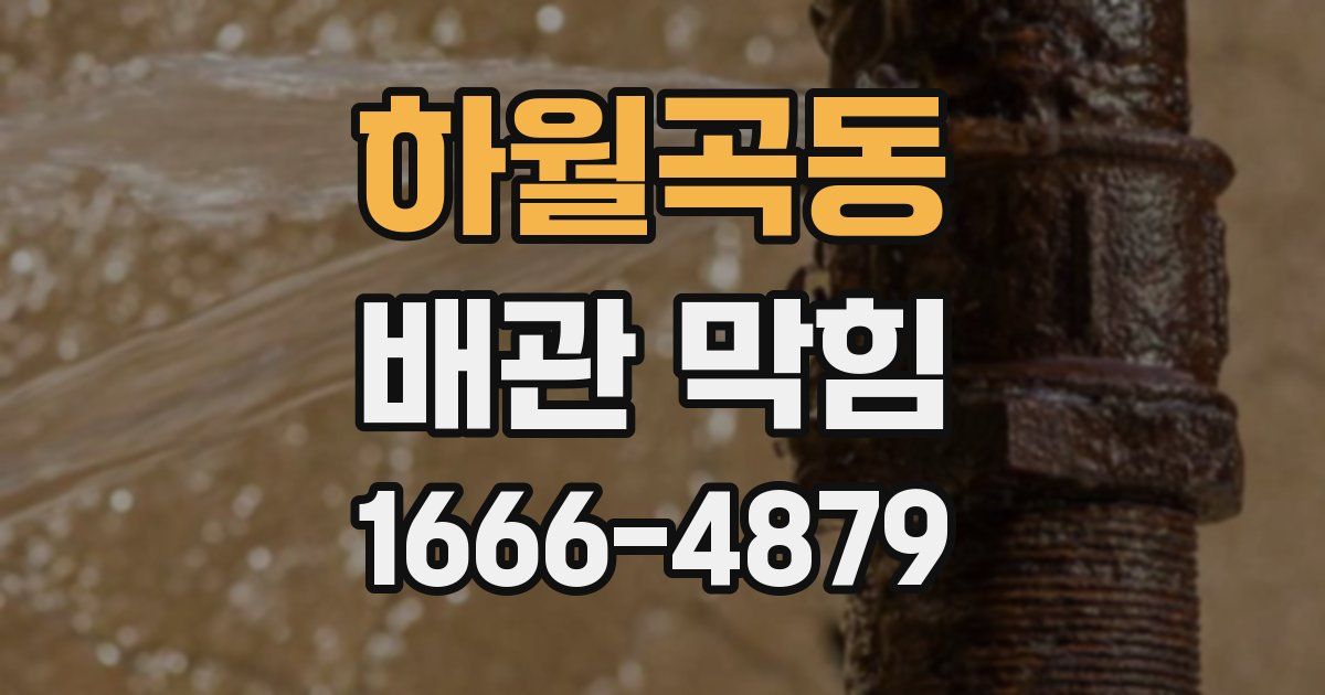 하월곡동 배관 막힘