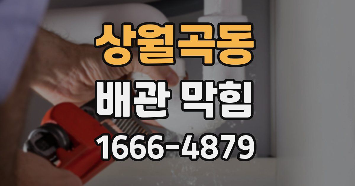 상월곡동 배관 막힘