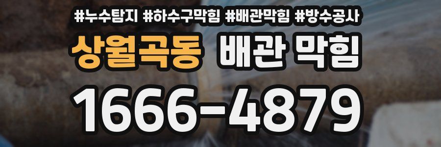 상월곡동 배관 막힘