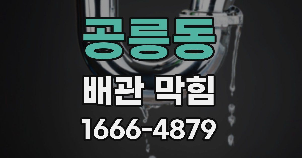 공릉동 배관 막힘