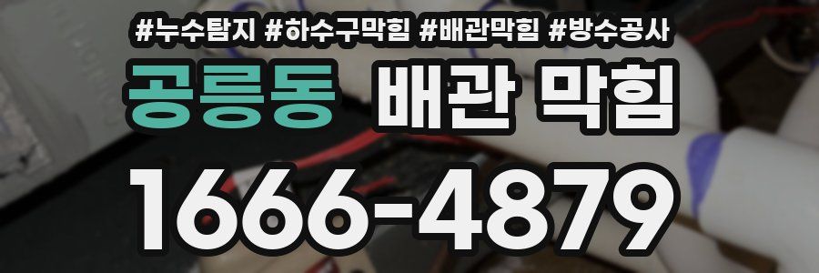 공릉동 배관 막힘