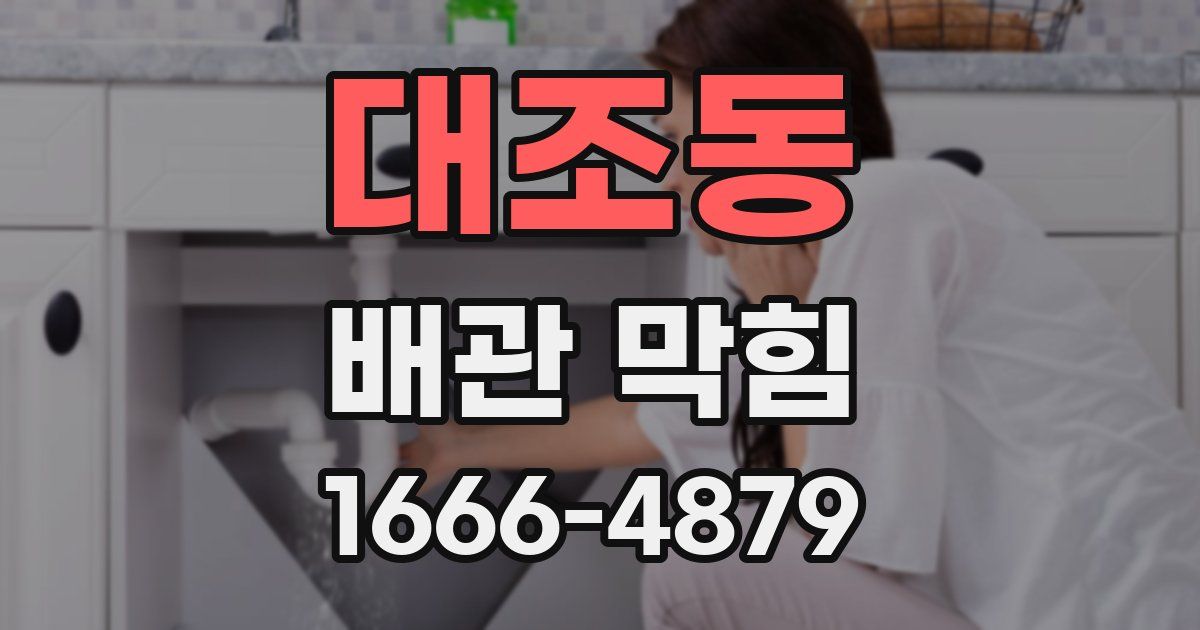 대조동 배관 막힘