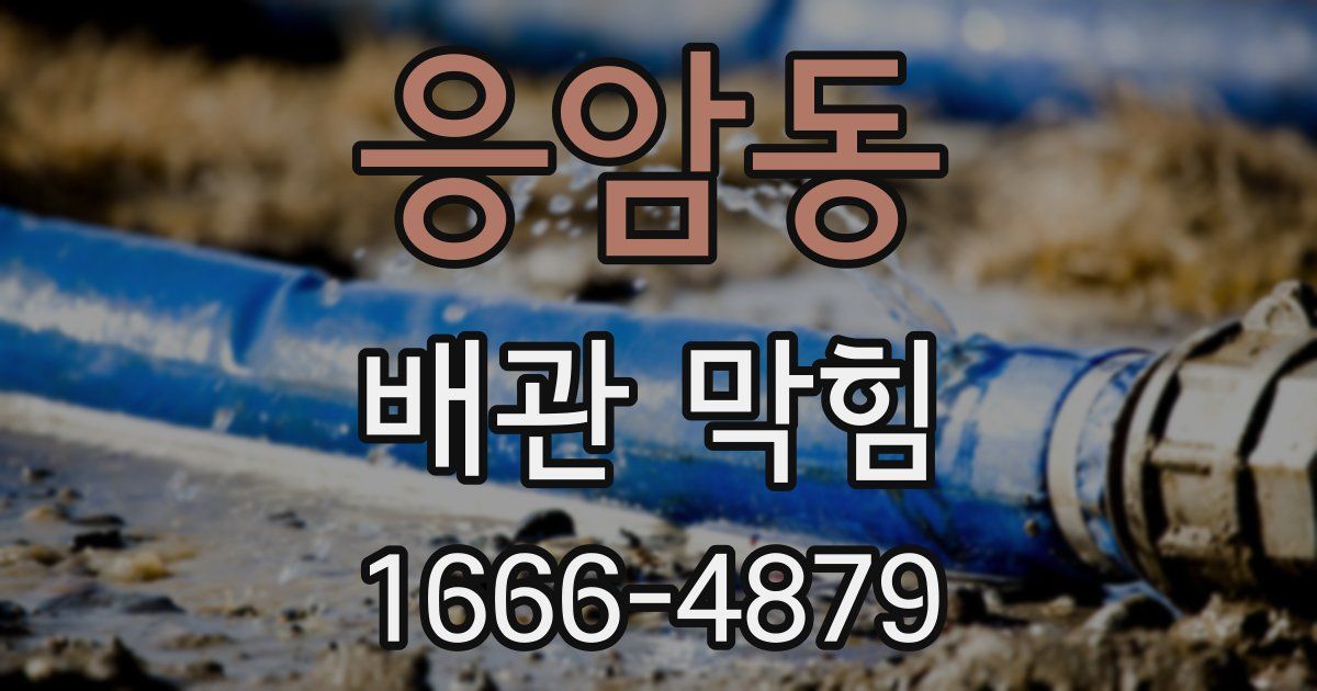 응암동 배관 막힘