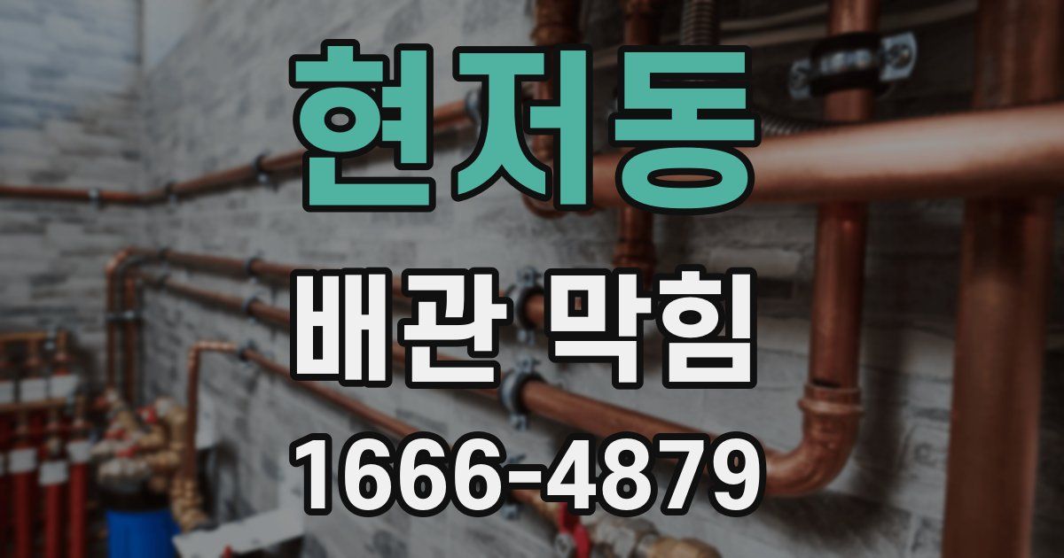 현저동 배관 막힘