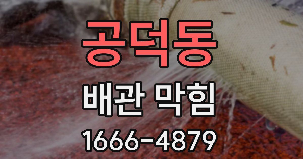 공덕동 배관 막힘