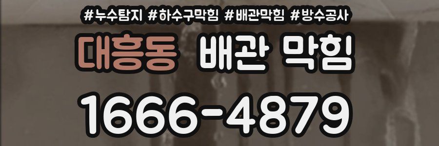 대흥동 배관 막힘
