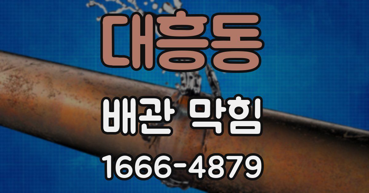 대흥동 배관 막힘