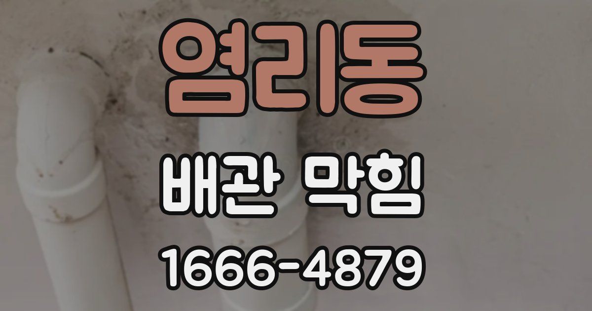 염리동 배관 막힘