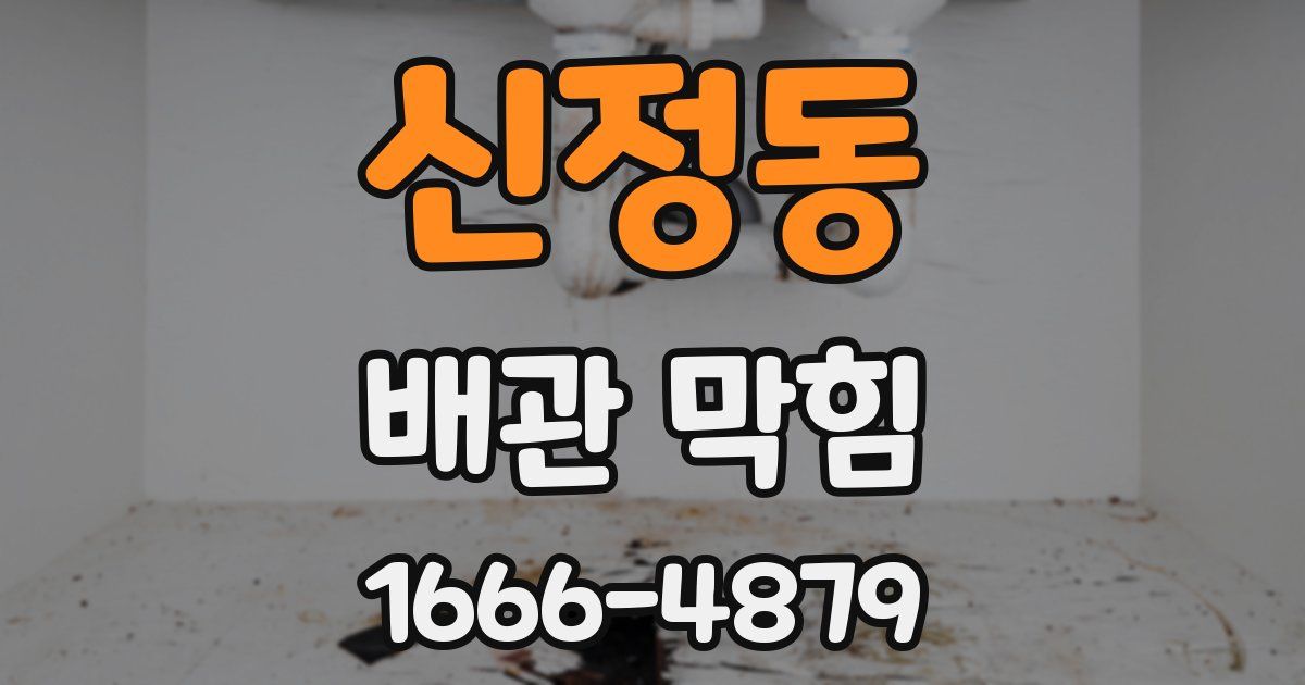 신정동 배관 막힘