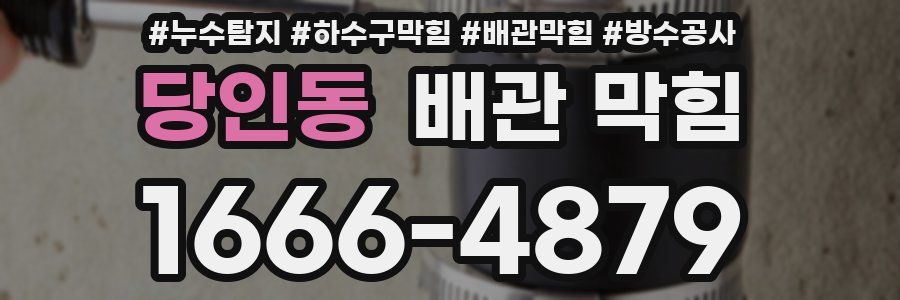 당인동 배관 막힘