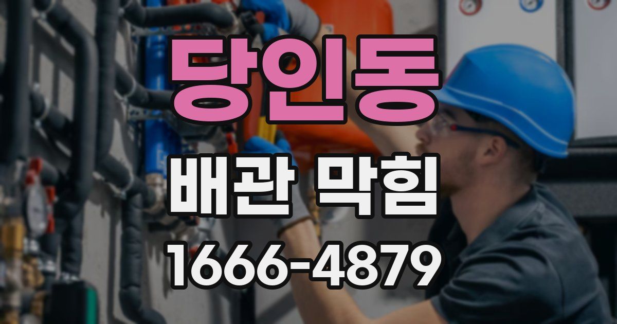 당인동 배관 막힘
