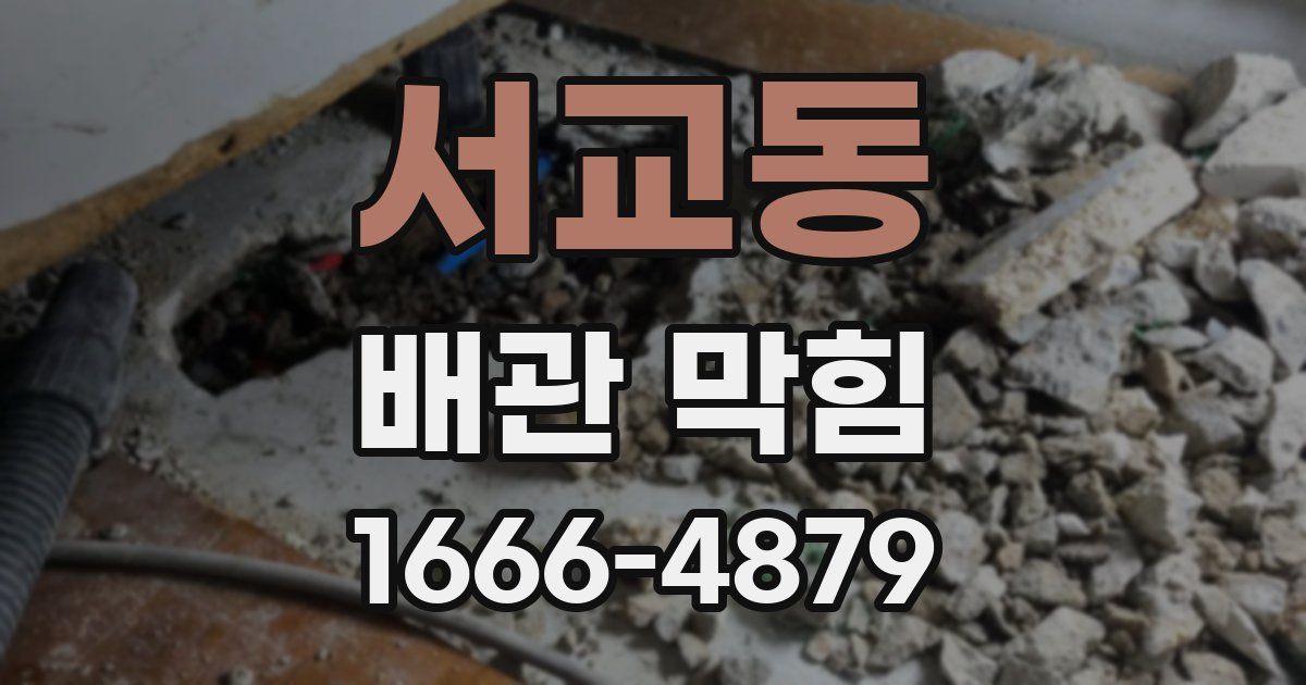 서교동 배관 막힘