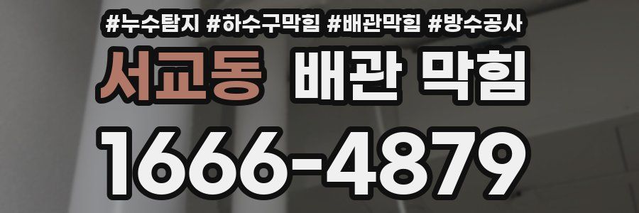 서교동 배관 막힘