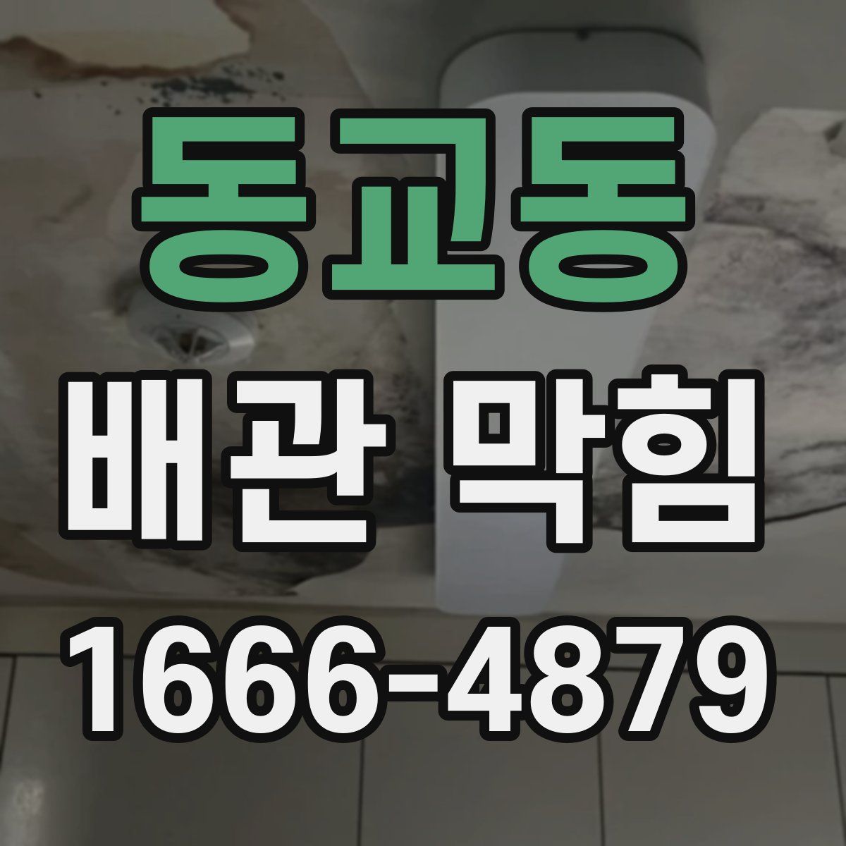 동교동 배관 막힘