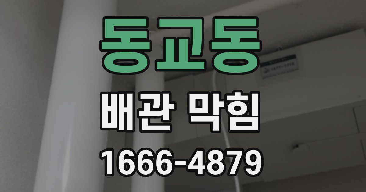 동교동 배관 막힘