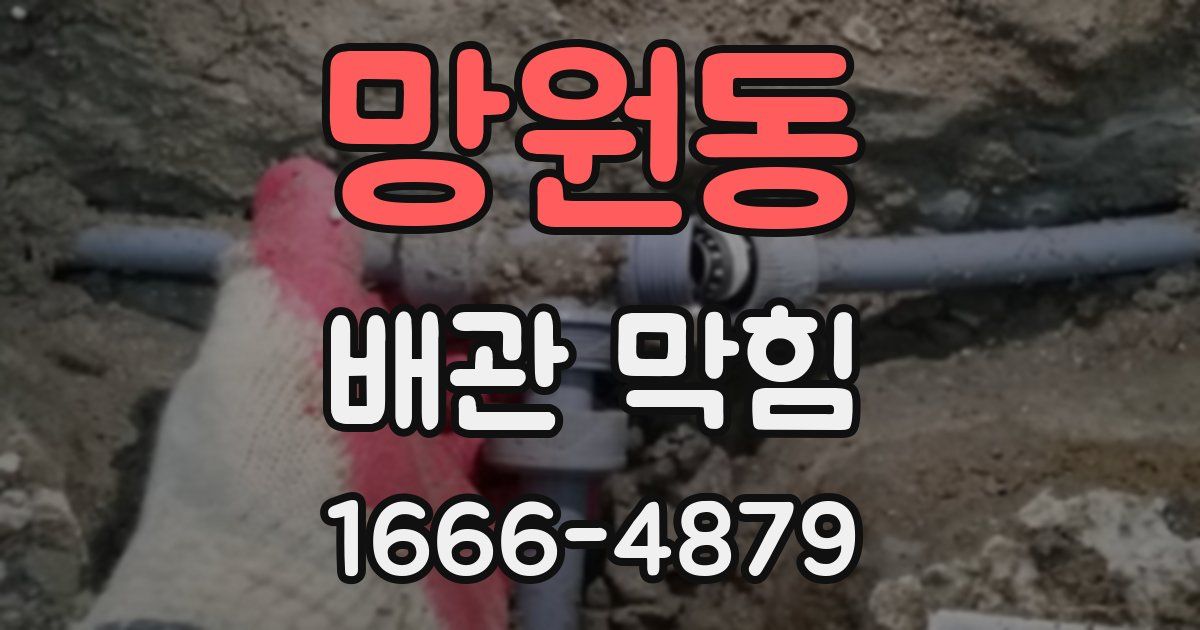 망원동 배관 막힘