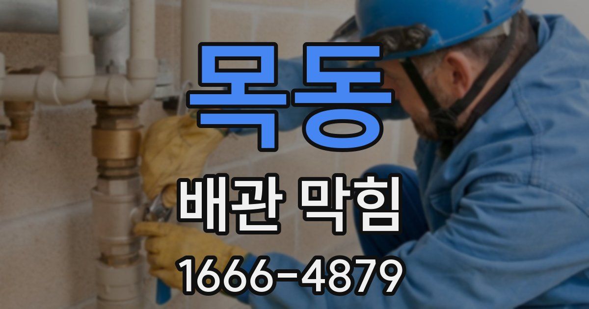 목동 배관 막힘