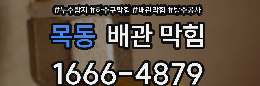 목동 배관 막힘