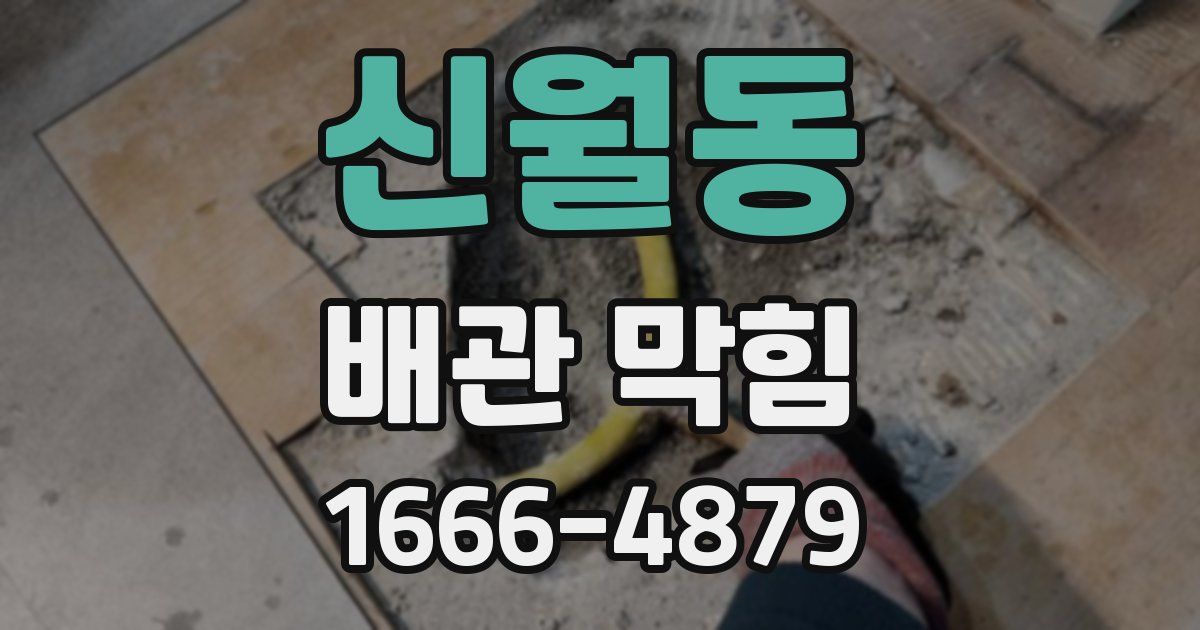 신월동 배관 막힘