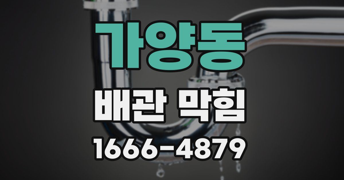 가양동 배관 막힘