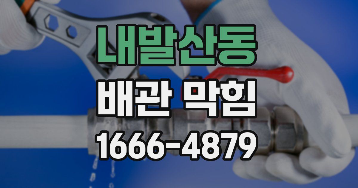 내발산동 배관 막힘
