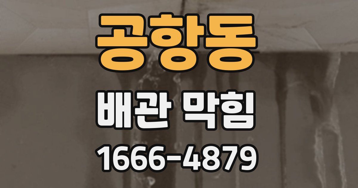 공항동 배관 막힘